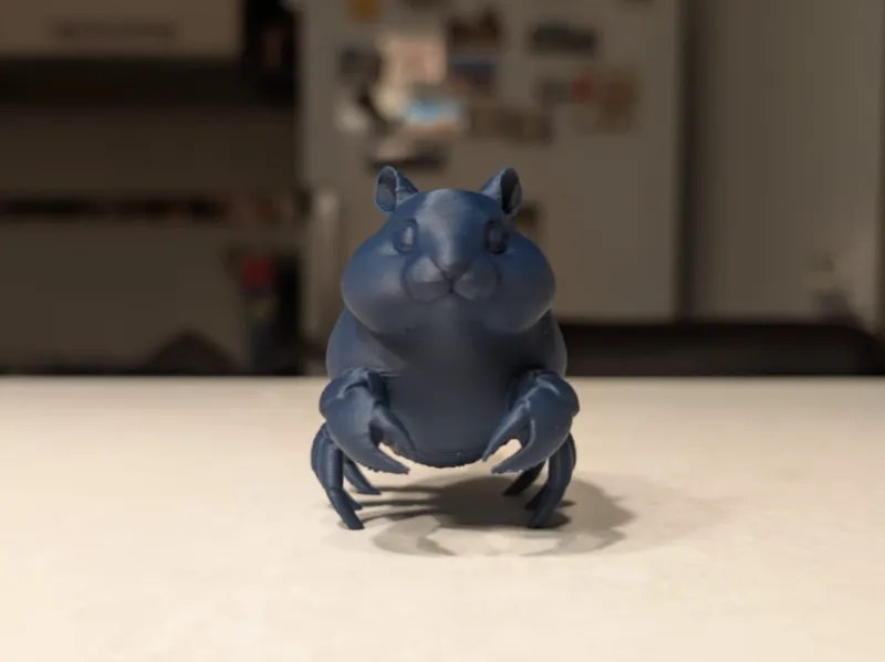 Hamster crab