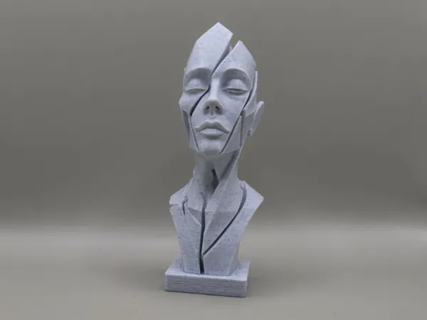 https://makerworld.bblmw.com/makerworld/model/US9c76ce6fdb097b/design/727c0188fa782d9e.jpg
