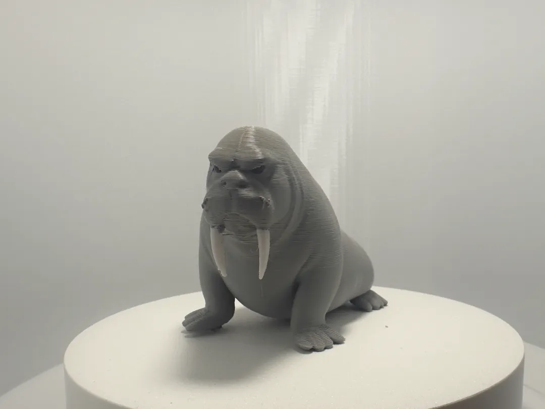 Grumpy Walrus - Free 3D Print Model - MakerWorld