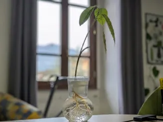 White Collar: 40mm Avocado Starter for IKEA PADRAG