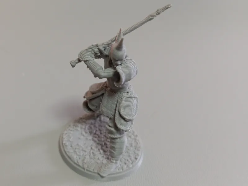 Elfo Spadaccino stile Samurai Dangeons & Dragons