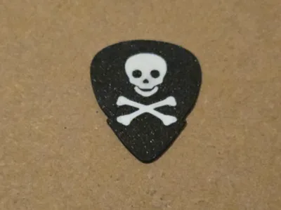 skull guitar pick