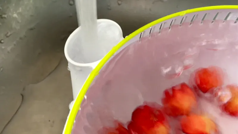 Vortex Fruit Washer (Size L) view 3