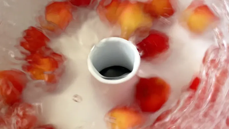 Vortex Fruit Washer (Size L) view 4