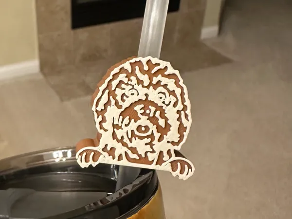 https://makerworld.bblmw.com/makerworld/model/US9c98047fbbb9db/design/47b0b02ec909360b.jpeg