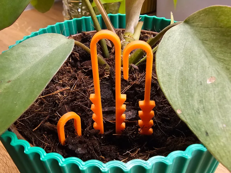 Plant rooting pins, plant pins or plant staples