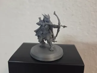 Dragonborn Ranger DnD
