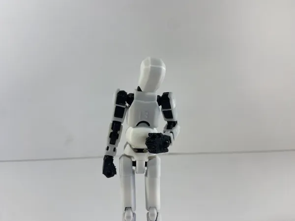 https://makerworld.bblmw.com/makerworld/model/US9ca3ce9d476cf2/design/2025-01-05_335480dc5b859.jpg