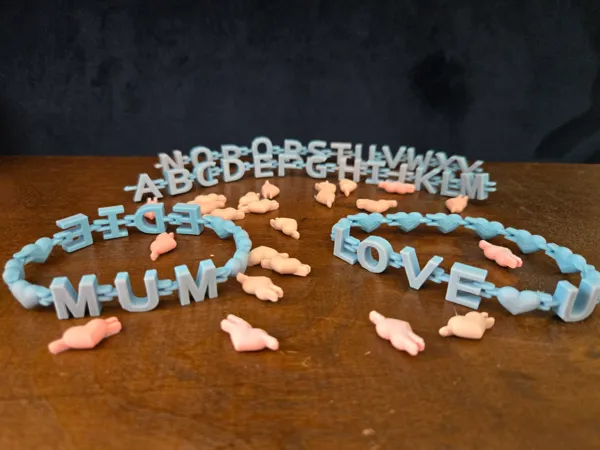 https://makerworld.bblmw.com/makerworld/model/US9caa49c8b78cf4/design/2025-03-29_48413cba1f334.jpg