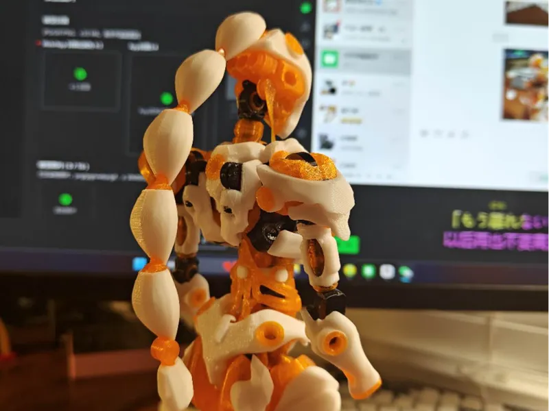 蝎尾辫