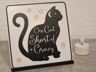 one of my Cat - Schild 