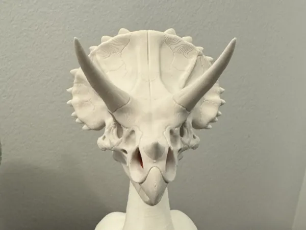 https://makerworld.bblmw.com/makerworld/model/US9cad30d12f2ebb/design/edac43c3d719ccfe.jpg