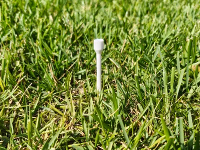 Golf  Tee