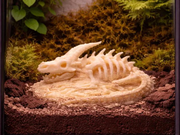 https://makerworld.bblmw.com/makerworld/model/US9cae7ba0412821/design/13882974da4dacdd.png
