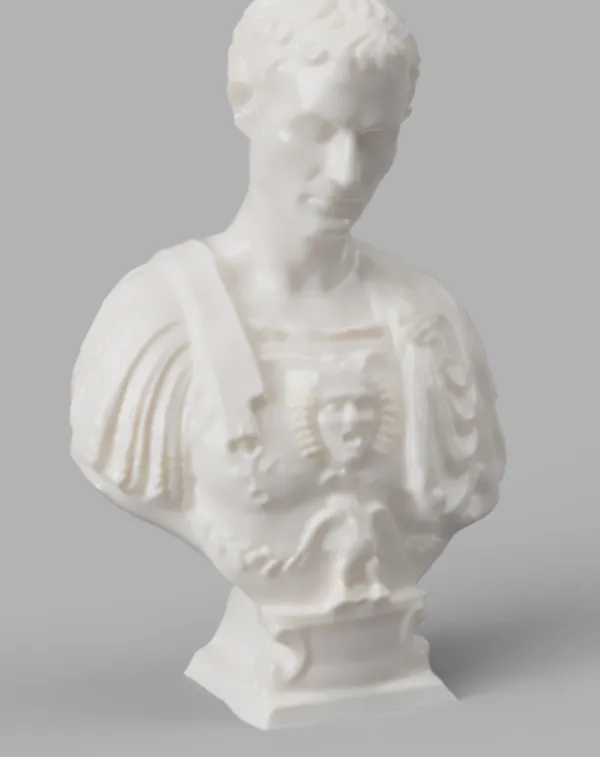 https://makerworld.bblmw.com/makerworld/model/US9cb0d8584fc8fa/design/2024-06-09_fcd6dfcb54bea.png