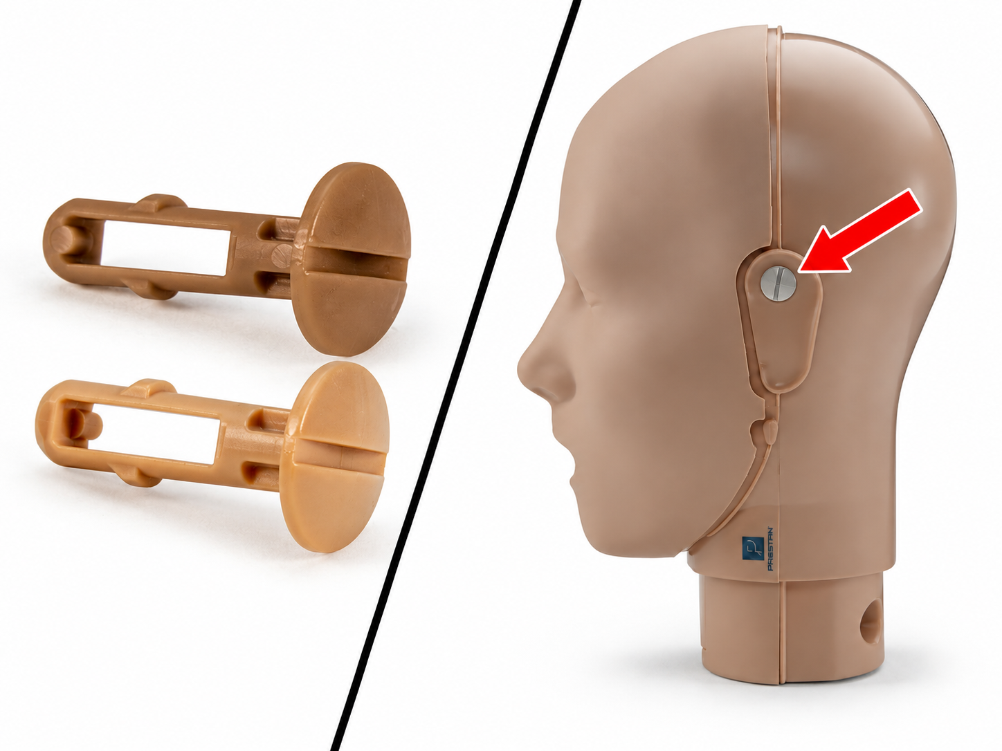 Prestan Manikin Ear Pin 3D model