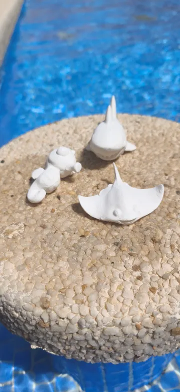 Tapa o cubierta: Caballito de mar cute — vista de referencia 5