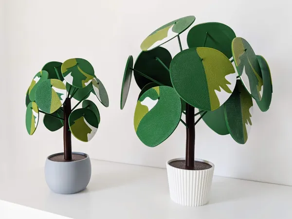 https://makerworld.bblmw.com/makerworld/model/US9cb34bd4233e3d/design/2024-04-30_fd3a25795a283.jpg