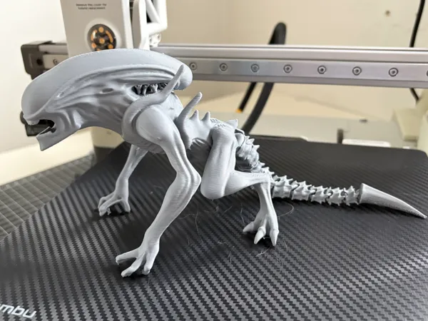 https://makerworld.bblmw.com/makerworld/model/US9cb68e23d8dd70/design/ba21959659c59420.jpeg