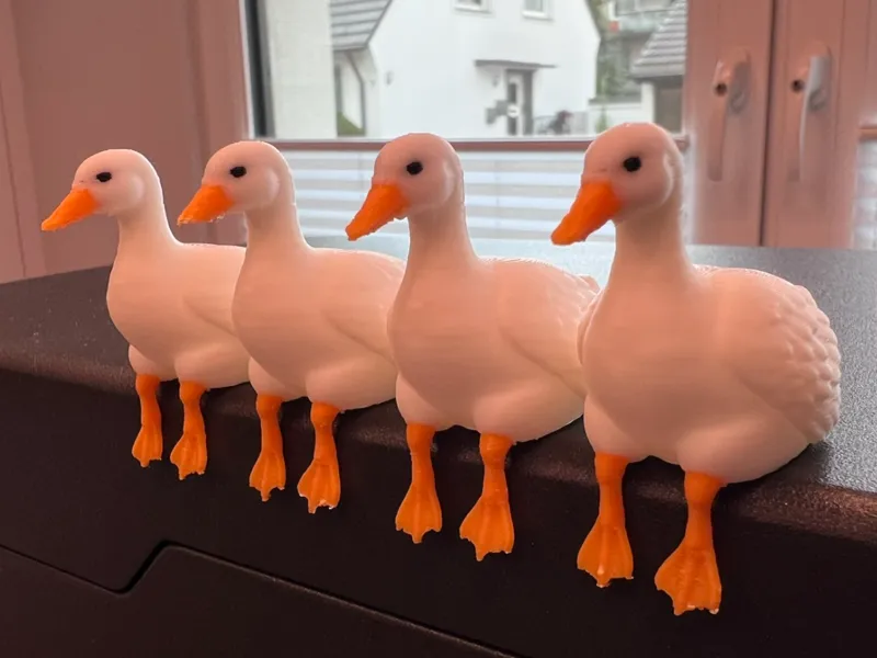 Goose sitting on the edge