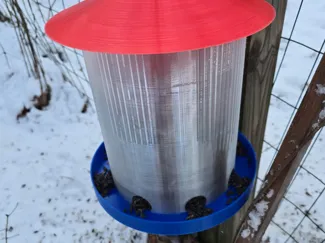 Big functional bird feeder