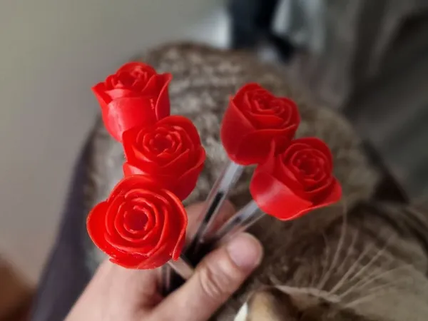 https://makerworld.bblmw.com/makerworld/model/US9cba925151d17a/design/5af274e177c9f34c.jpg
