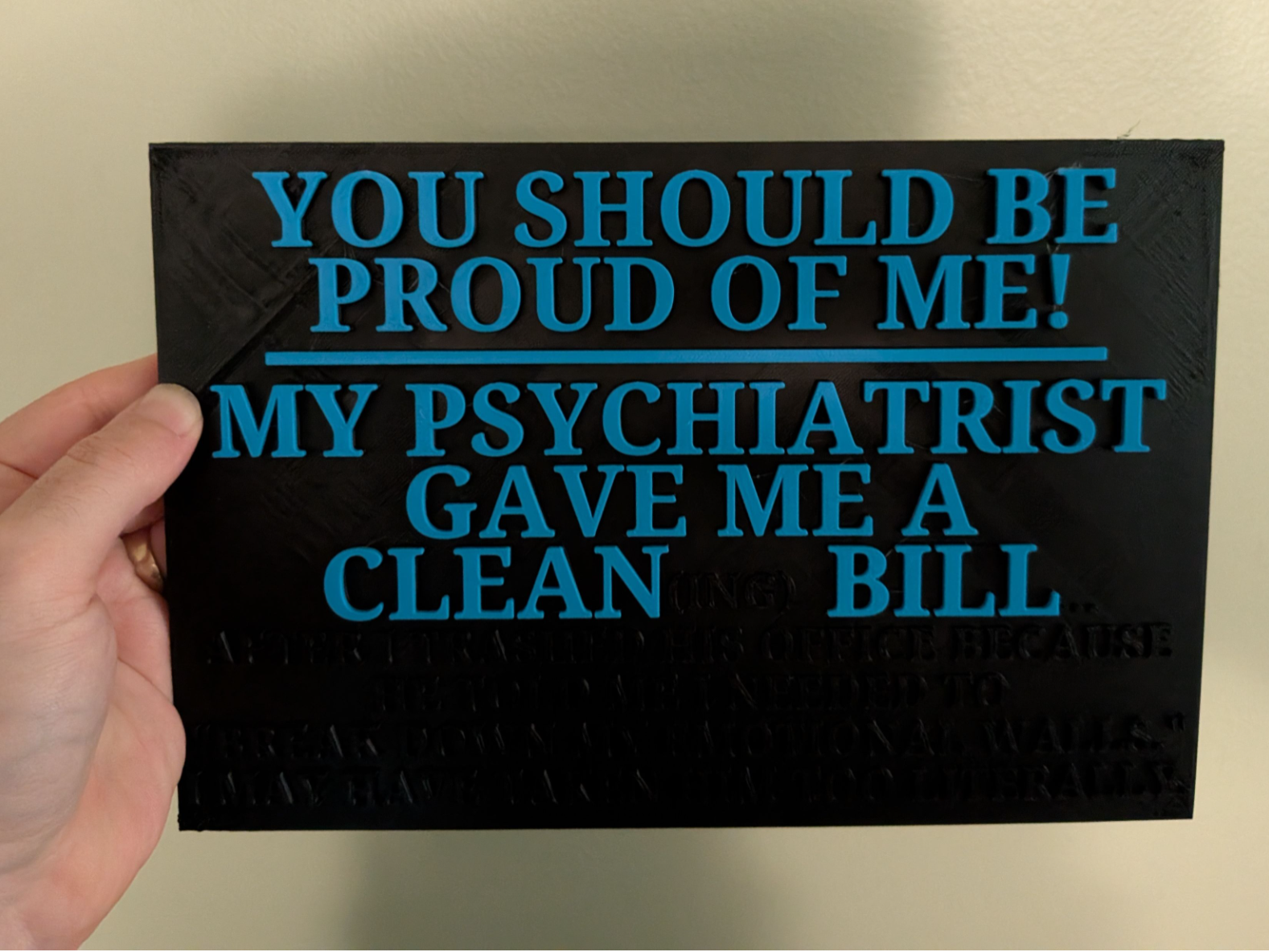 Clean(ing) Bill of Health - Hidden Message Plaque