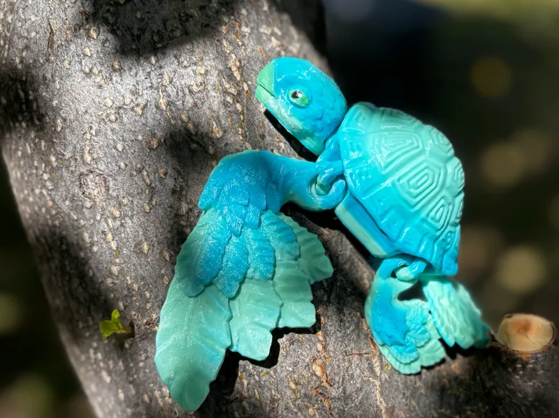 Flying Turtle