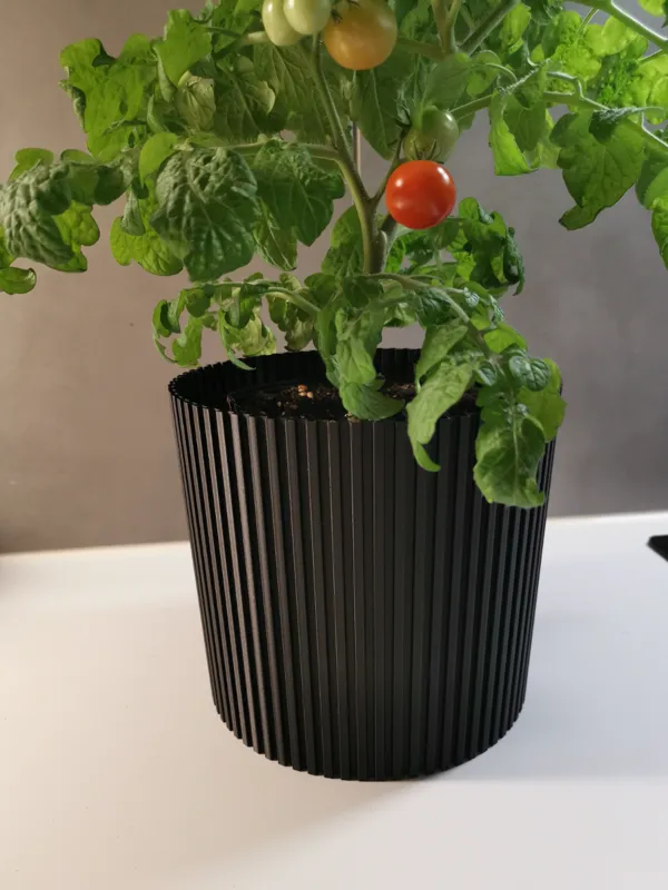 Pot de fleurs