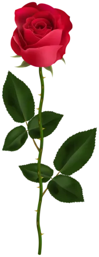 Rose décorative — photo 1