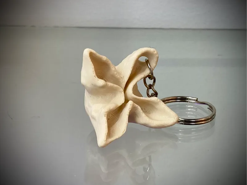 Crab Rangoon
