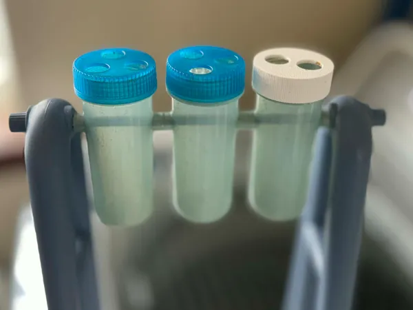 https://makerworld.bblmw.com/makerworld/model/US9cc8c6673699c8/design/a2f13094a3fe179d.jpg