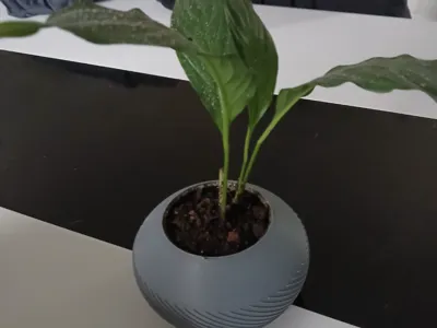 flower pots