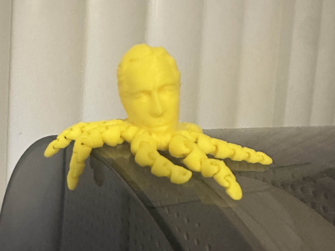 Epstientopus