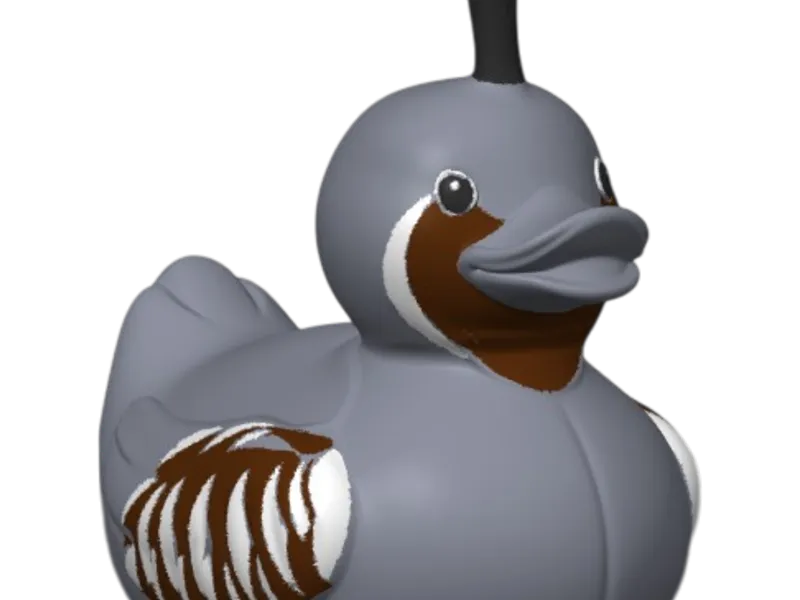 Mountain Quail Duck