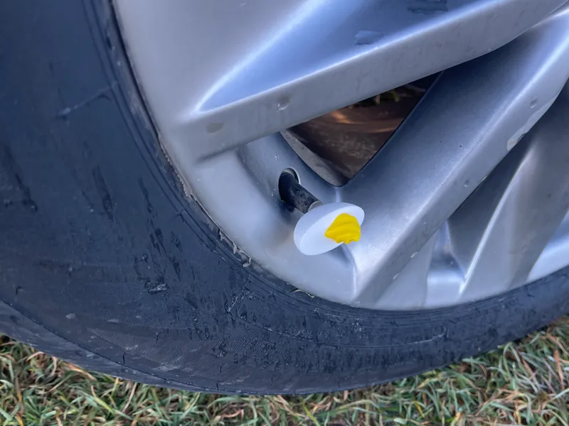 Tire Valve Cap Devilled Egg