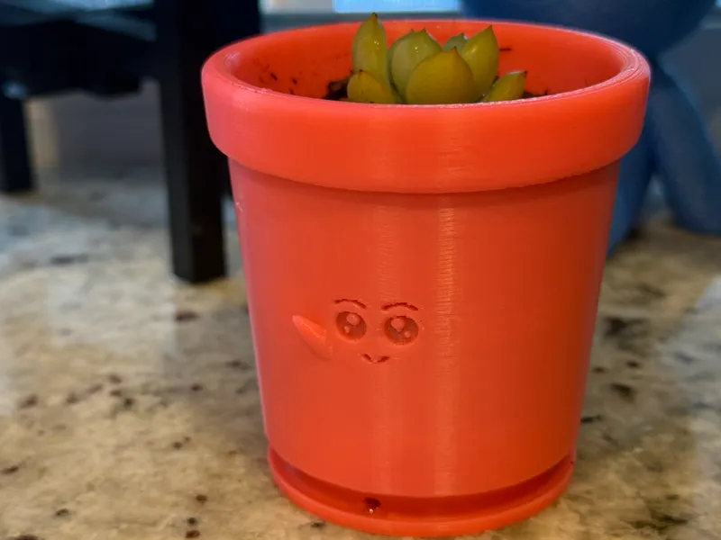 Happy Sad Planter