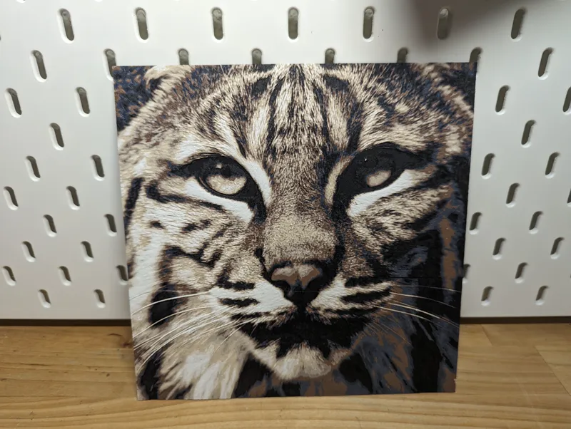 Hueforge - Lynx Photograph