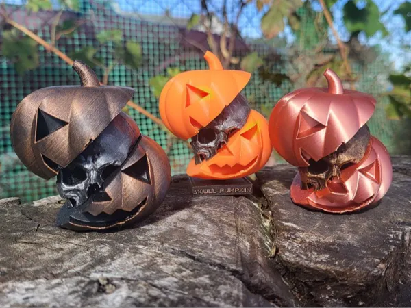 https://makerworld.bblmw.com/makerworld/model/US9cd4ea6406ce/design/2024-09-25_53fa083d2dcec.jpg
