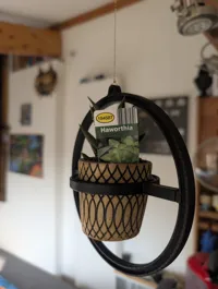 Lidl Plant vertion