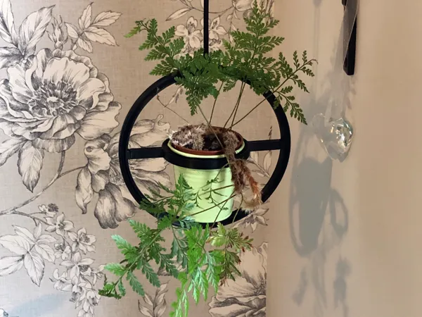 https://makerworld.bblmw.com/makerworld/model/US9cd83a096a8afb/design/2025-06-05_818ffeb449c44.jpg