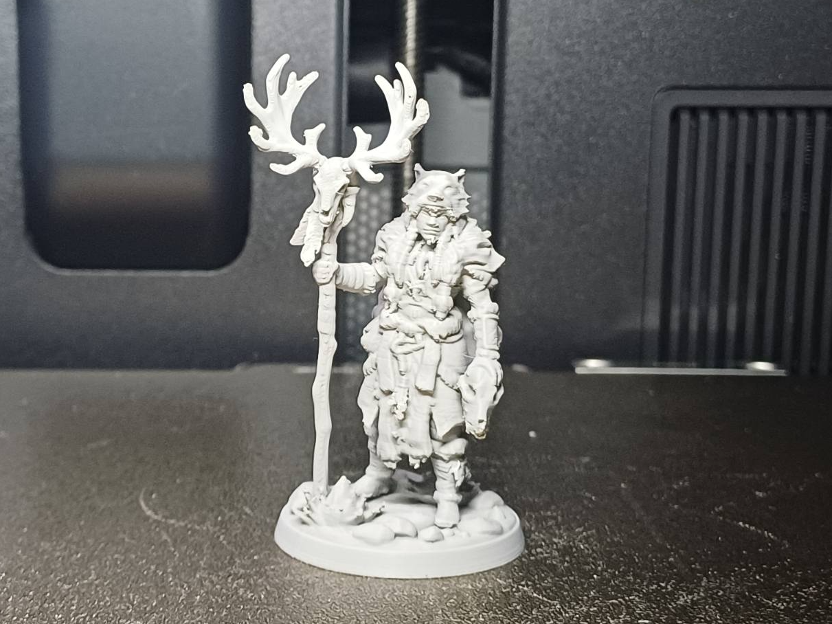 DND Wolf Shaman