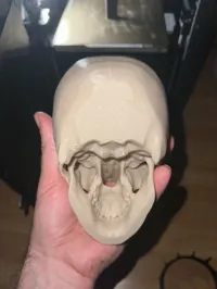 0.24mm layer, 2 walls, 15% infill