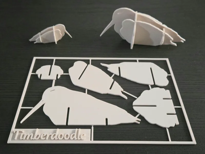 Sleepy American Woodcock Card Kit