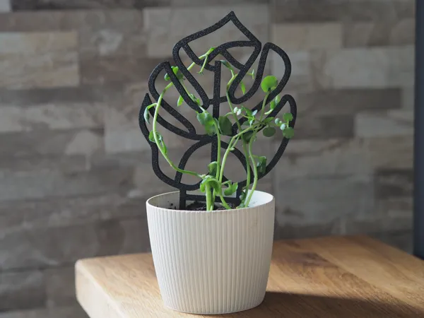 https://makerworld.bblmw.com/makerworld/model/US9ce50a78264ab6/design/2025-01-09_df7ac5593f5a5.jpg