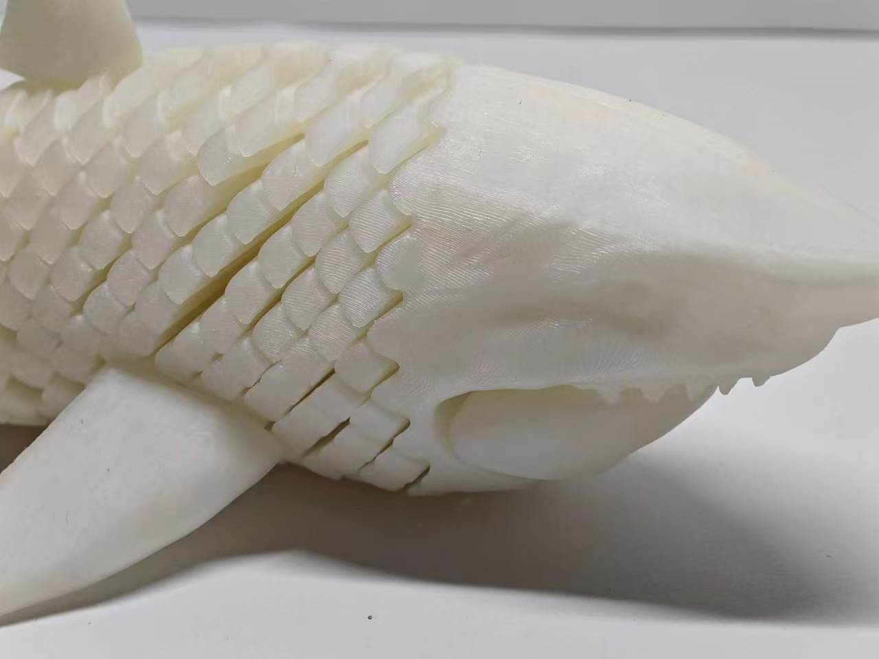 Miniatura 2 do modelo 3D 可动大白鲨铰链模型