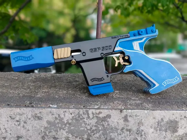 https://makerworld.bblmw.com/makerworld/model/US9ce92590898cfd/design/826f215668128bae.webp