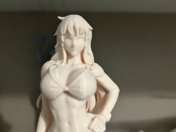 https://makerworld.bblmw.com/makerworld/model/US9cea4c90fc03b4/design/de09f8fec6b1f436.jpg