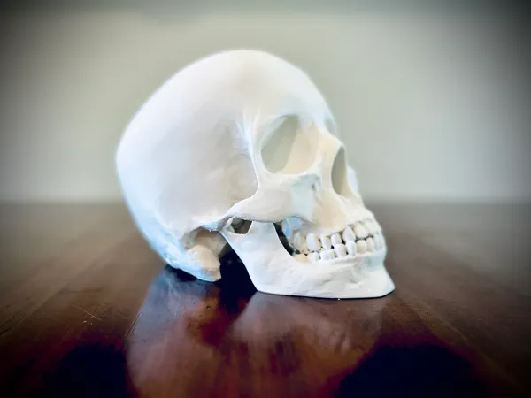 https://makerworld.bblmw.com/makerworld/model/US9ceb66417ccba7/design/2024-10-22_c1c25b2c19182.jpeg