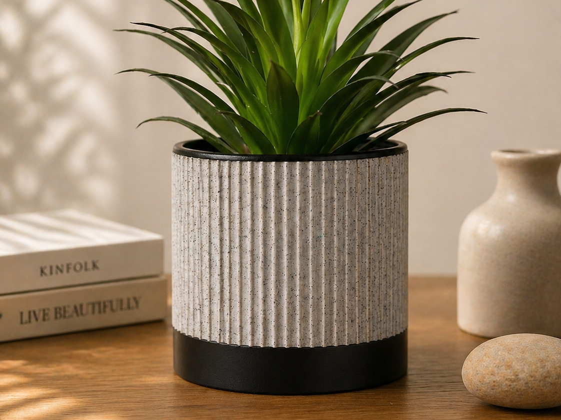Minimalist Indoor Planter with Two-Tone Base
